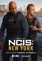  Морская полиция: Нью-Йорк смотреть онлайн сериал 1 сезон бесплатно в HD
