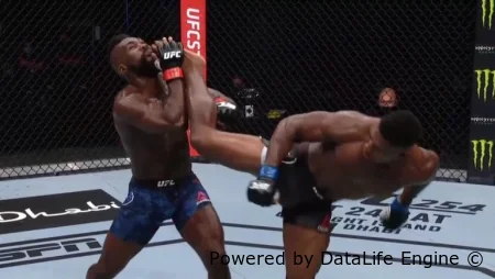 UFC Fight Night 291: Бакли vs Мэлотт прямая трансляция 17 октября 2026
